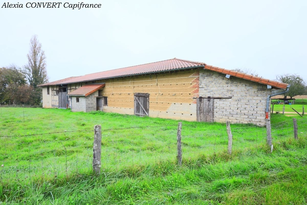 Bâtisse à vendre 5 pièces + abris proche de MEZERIAT (01) terrain 1320m² constructible