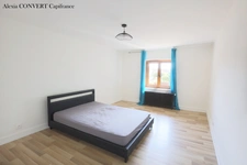 Ferme Rénovée à vendre 6 pièces 249m² SAINT DENIS LES BOURG (01)