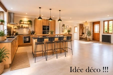 Ferme Rénovée à vendre 6 pièces 249m² SAINT DENIS LES BOURG (01)