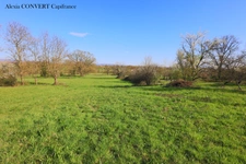 Terrain à vendre 4045m² proximité centre du village de  FOISSIAT (01)