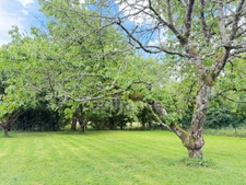 Maison familiale avec grand sous-sol, jardin arboré et vue dégagée – Proche Pont-de-Vaux