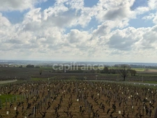 Maison en pierre avec vue exceptionnelle – Vire (71260)