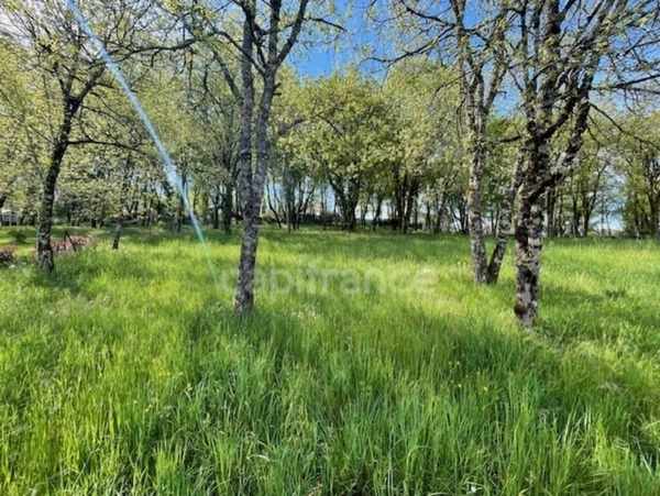 Terrain à vendre  MARTEL (46)