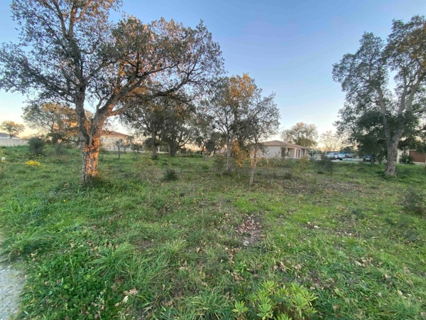 Dpt Corse (20), à vendre ALERIA terrain 1000 m2