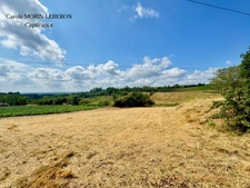Girondine avec plus de 7 hectares et vue exceptionnelle