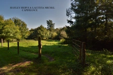 Propriété à vendre Proche Vire Calvados  (14) avec deux maisons d'habitation sur un terrain de 9 Hectares