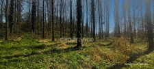 A VENDRE TERRAIN DE LOISIR A PANCE (35)