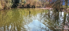 A VENDRE TERRAIN DE LOISIR A PANCE (35)