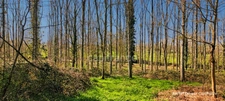 A VENDRE TERRAIN DE LOISIR A PANCE (35)