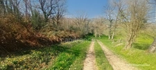 A VENDRE TERRAIN DE LOISIR A PANCE (35)