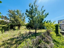 LES BOIS D'ANJOU - Authentique longère 110 m² habitables, dépendances et terrain 1 700 m²