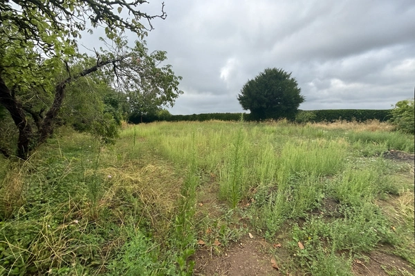 A VENDRE Terrain LES BOIS D'ANJOU 800m2 partiellement viabilisé