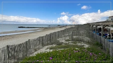 Dpt Hérault (34), à vendre FRONTIGNAN-PLAGE appartement T3 de 51 m²  - Plain pied- Front de mer