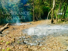  🌿 À Vendre – Terrain Constructible à Rivière-Pilote 🏡 RIVIERE PILOTE (972)