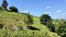 🏠 Projet de vie 🏠 Terrain à vendre de 515 m2 LE LAMENTIN (972)