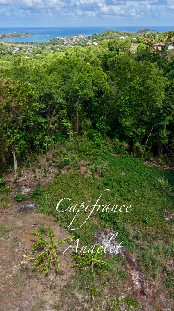 🌿 LE VAUCLIN – TERRAIN À VENDRE DE 2 673 M²