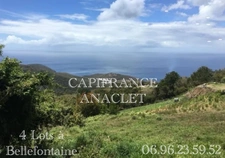 🏡 À Vendre – Terrain Constructible à Bellefontaine (972) 🌴 VUE MER IMPRENABLE 