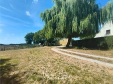 Maison de campagne 190 m² – 4 chambres – Terrain clos de 7 500 m² – Beau potentiel
