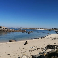 FINISTERE- CLEDER- TERRAIN CONSTRUCTIBLE A 300 METRES DE LA MER