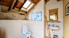 Grands Gîtes avec Maison d'Habitation  - ROSNOEN (29)