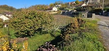 Terrain à bâtir de 1500 m2 à vendre avec vue panoramique sur ARBOIS  (39600)