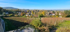 Terrain à bâtir de 1500 m2 à vendre avec vue panoramique sur ARBOIS  (39600)