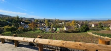 Terrain à bâtir de 1500 m2 à vendre avec vue panoramique sur ARBOIS  (39600)