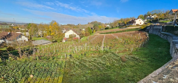 Votre future maison - Arbois (39600) : terrain de 3000m2 avec vue dominante et exposition idéale