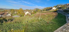 Terrain à vendre avec vue panoramique sur ARBOIS  (39600)