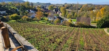 Terrain à bâtir de 1500 m2 à vendre avec vue panoramique sur ARBOIS  (39600)
