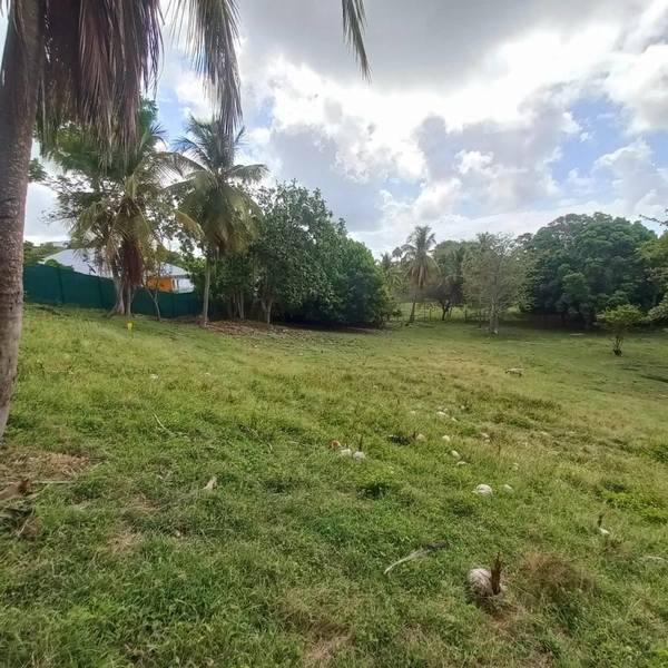 Terrain constructible à vendre DAMPIERRE LE GOSIER (971)