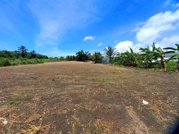 Terrain plat constructible + 2000M2, proche mer à vendre  SAINT FRANCOIS (971)