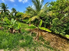 3-bedroom house to be finished for sale in Sainte Anne Richer (971)