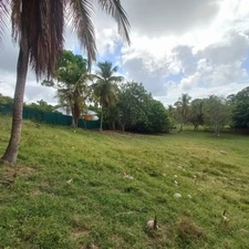 Terrain constructible à vendre DAMPIERRE LE GOSIER (971)