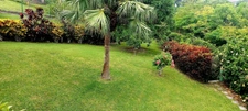 4-bedroom villa and 2-bedroom apartment for sale in ABYMES-GOSIER (971), swimming pool, 1900 m² plot 
