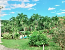 4-bedroom villa and 2-bedroom apartment for sale in ABYMES-GOSIER (971), swimming pool, 1900 m² plot 