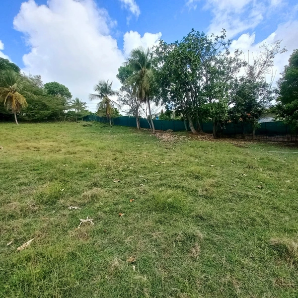 Terrain constructible à vendre DAMPIERRE LE GOSIER (971)
