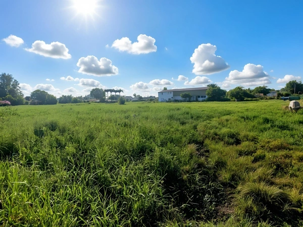 Grand Terrain plat constructible UG à vendre de 3 441,00 m² SAINTE ANNE (971)