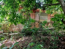 Maison à vendre 7 pièces, 1615M2 terrain à SAINTE ANNE (971)