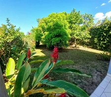 Charming house for sale, 6 rooms LE GOSIER (971)