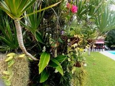 4-bedroom house for sale in Saint-François (971), single-storey, swimming pool, pool house, exceptional landscaped garden