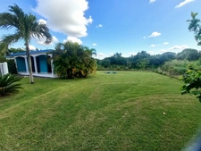 3 villas ou Gites à vendre à ANSE BERTRAND (971),piscine, 2000M2 terrain, proches plages 