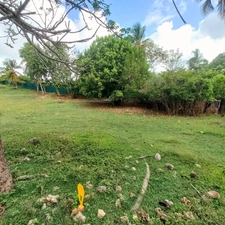 Terrain constructible à vendre DAMPIERRE LE GOSIER (971)