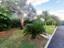 Exceptional property with 3 master suites overlooking a swimming pool, for sale in SAINT FRANCOIS (971)