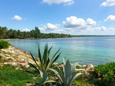 Appartement T2 - Accès Mer - Sainte-Anne Centre (971) - Tout à pied, fort potentiel saisonnier 