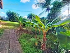 Villa and its T2 apartment with swimming pool and landscaped garden for sale in SAINT-FRANCOIS (971)