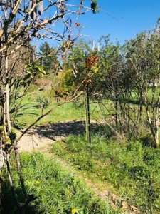 Maison à vendre 5 pièces LA GUERCHE SUR L'AUBOIS (18)