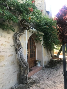 Estate for sale in the heart of Amognes
