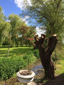 Propriété à vendre proche de SANCERRE