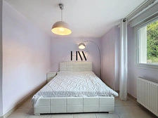 Family house for sale 10 rooms VETRAZ MONTHOUX (74) - Or special investors